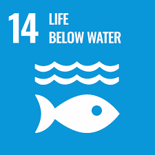 Goal 14. Life below water
