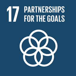Goal 17. Partnerships for the goals