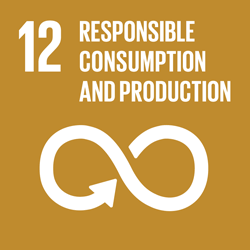 Goal 12. Responsible consumption and production