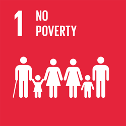 Goal 1. No poverty