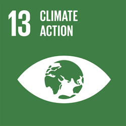 Goal 13. Climate Action 