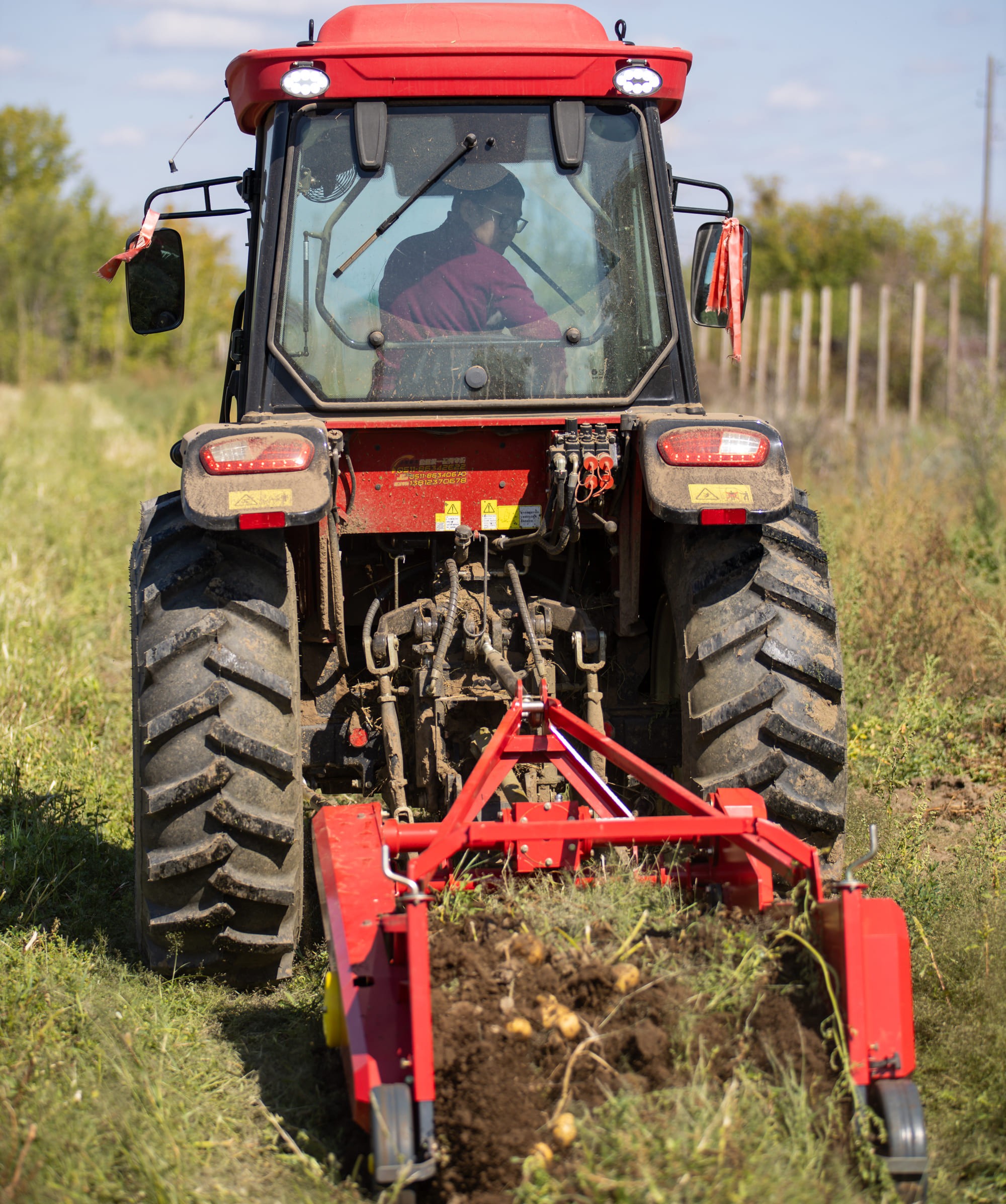 В Агробиолаборатории Shakarim University идет сбор урожая