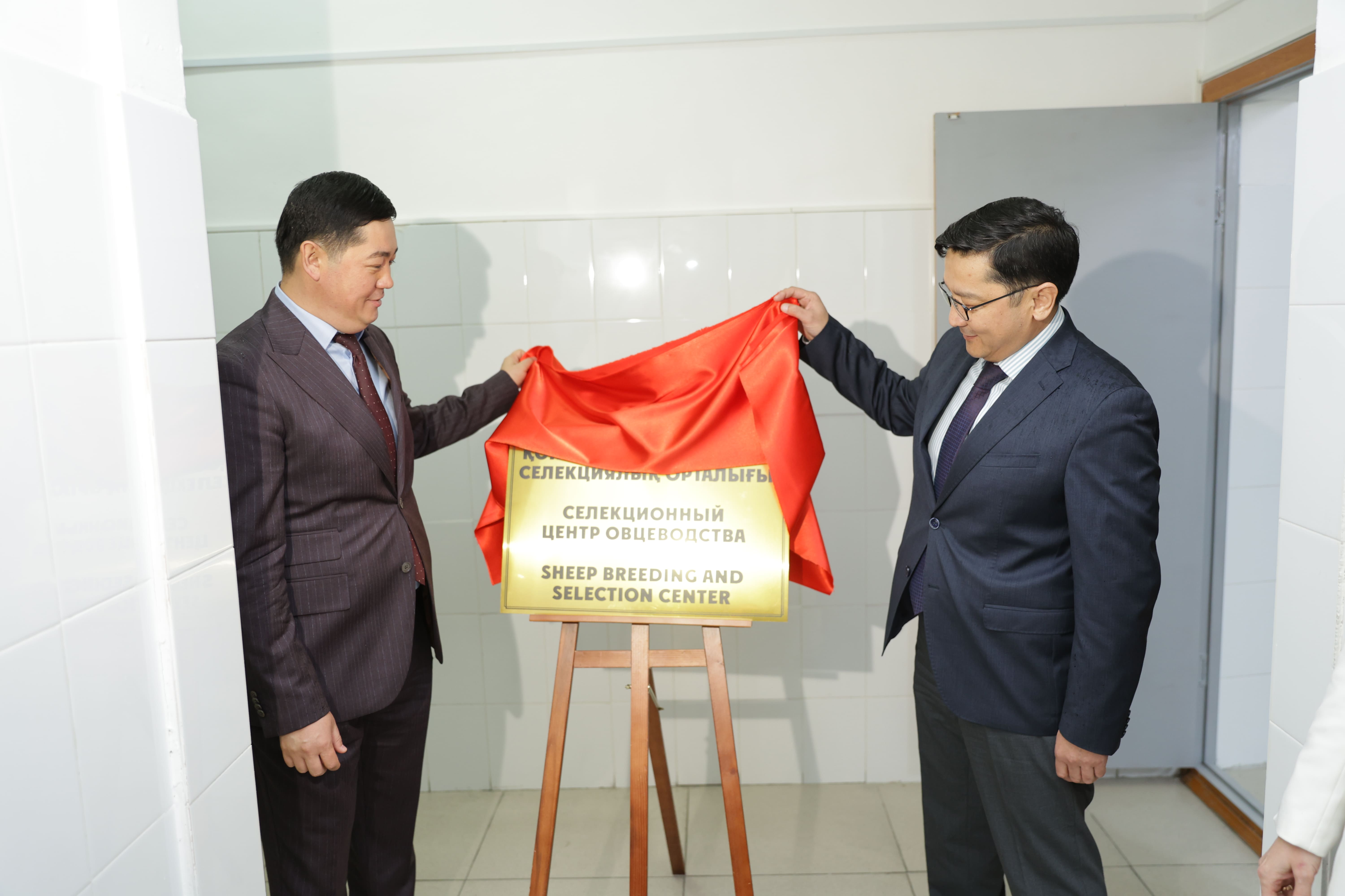 Қой шаруашылығын дамытуға жаңа қадам