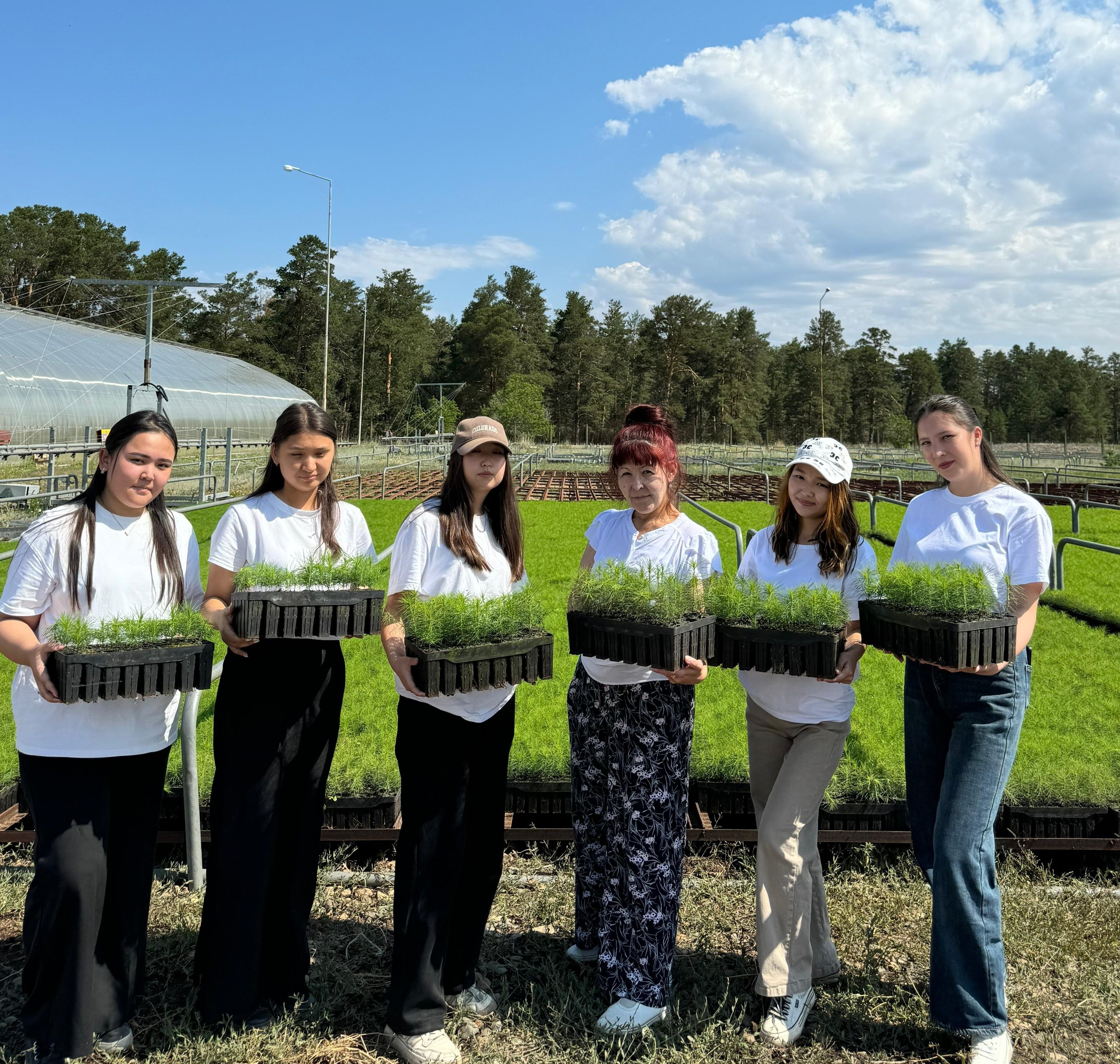 От простой практики к реальному результату: «Зеленая» инициатива студентов