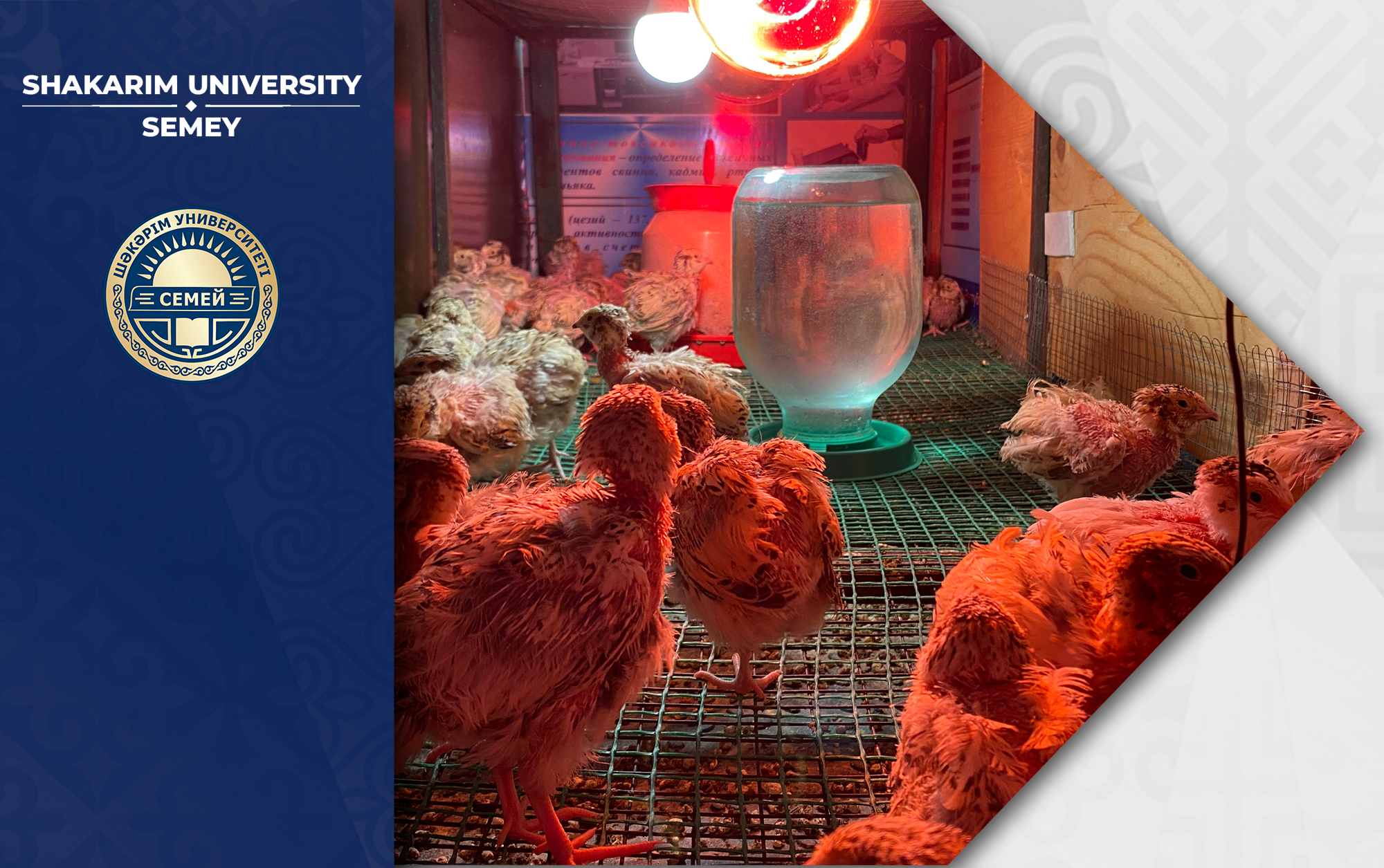 СРАЗУ НЕСКОЛЬКО СТАРТАП ПРОЕКТОВ ЗАПУСТИЛИ В УНИВЕРСИТЕТЕ ШАКАРИМА