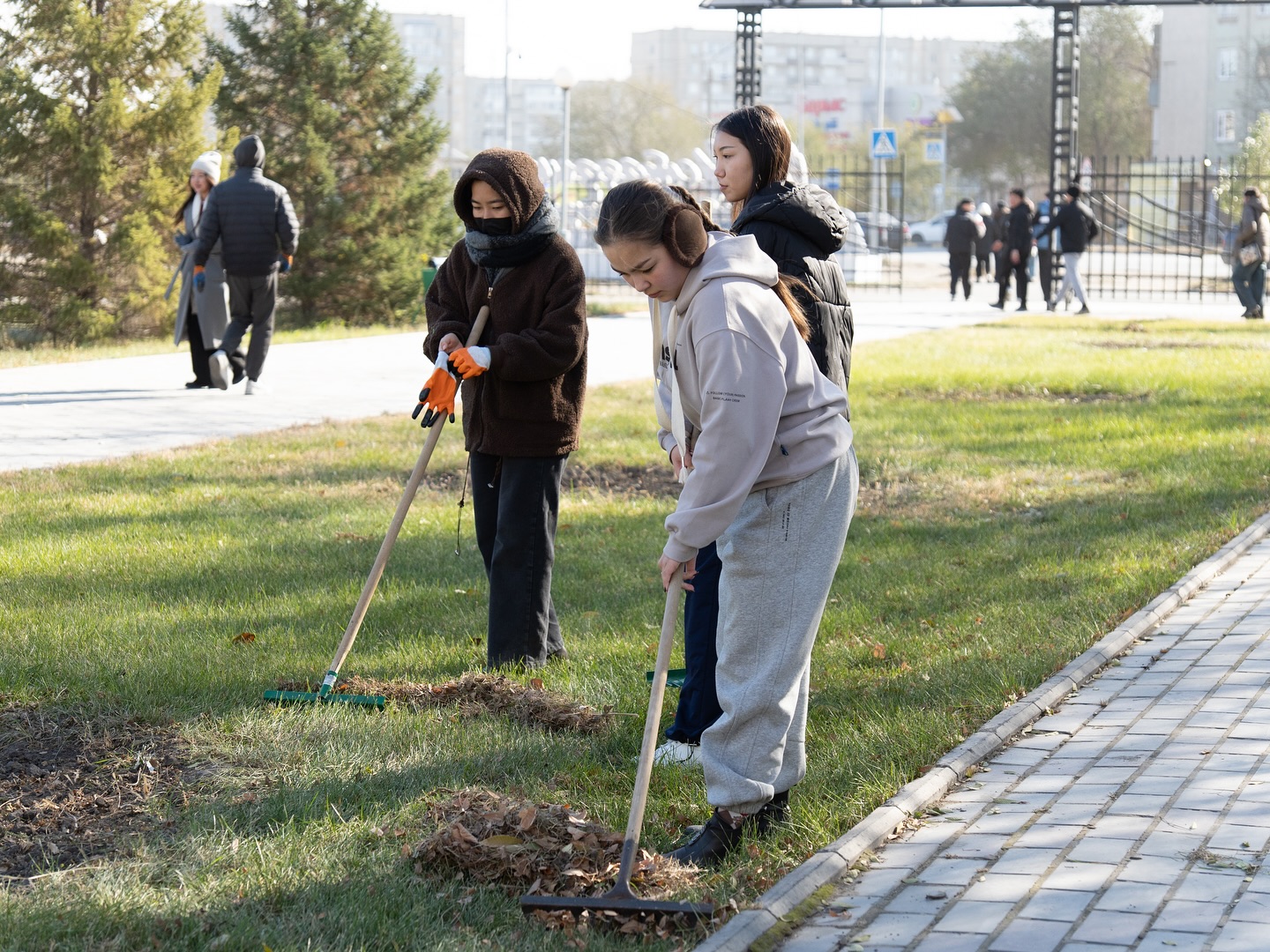 Чистота природы — наша собственная чистота