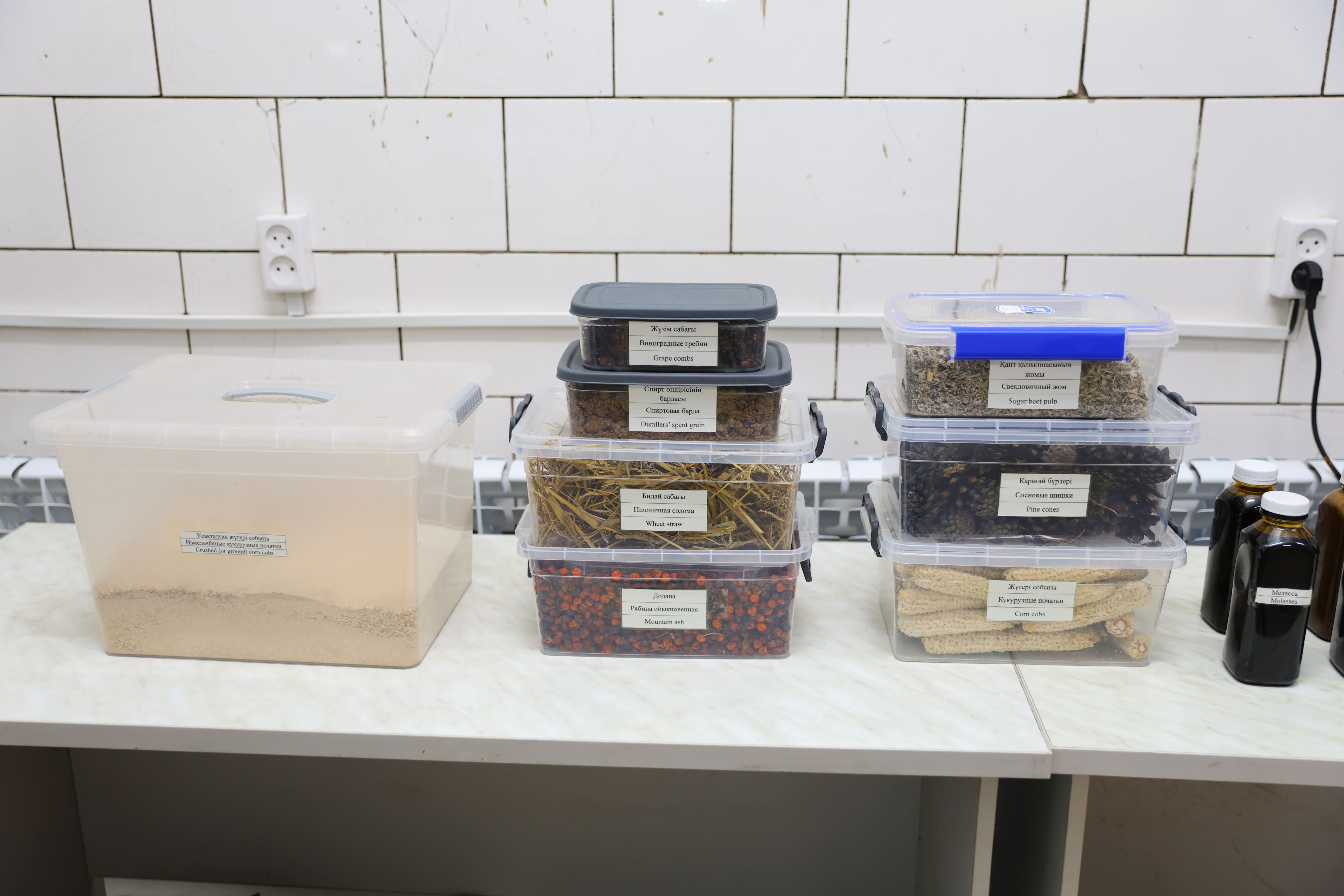 Агроөнеркәсіп қалдықтары – құнды ресурс: Шәкәрім университетіндегі жаңа орталық