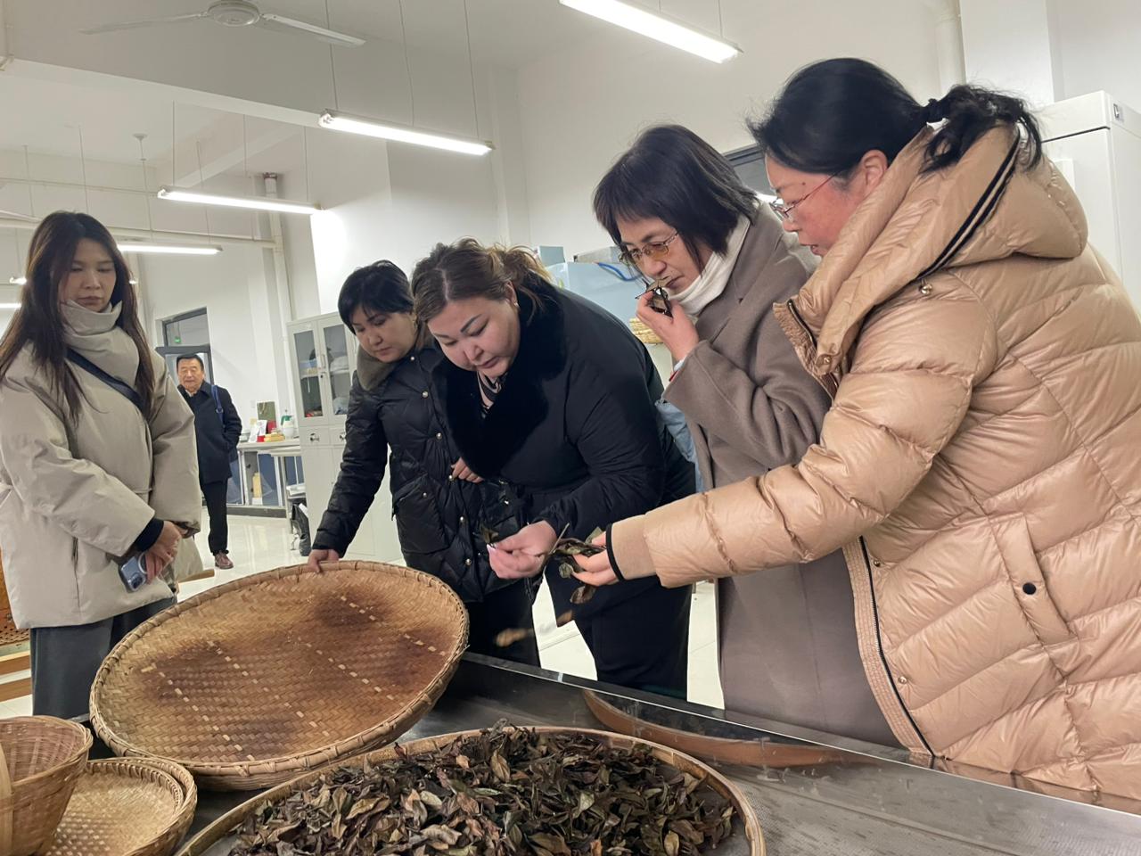 Шәкәрім университеті оқытушыларының Қытай еліндегі ғылыми тағылымдамасы – халықаралық ынтымақтастықтың жаңа белесі