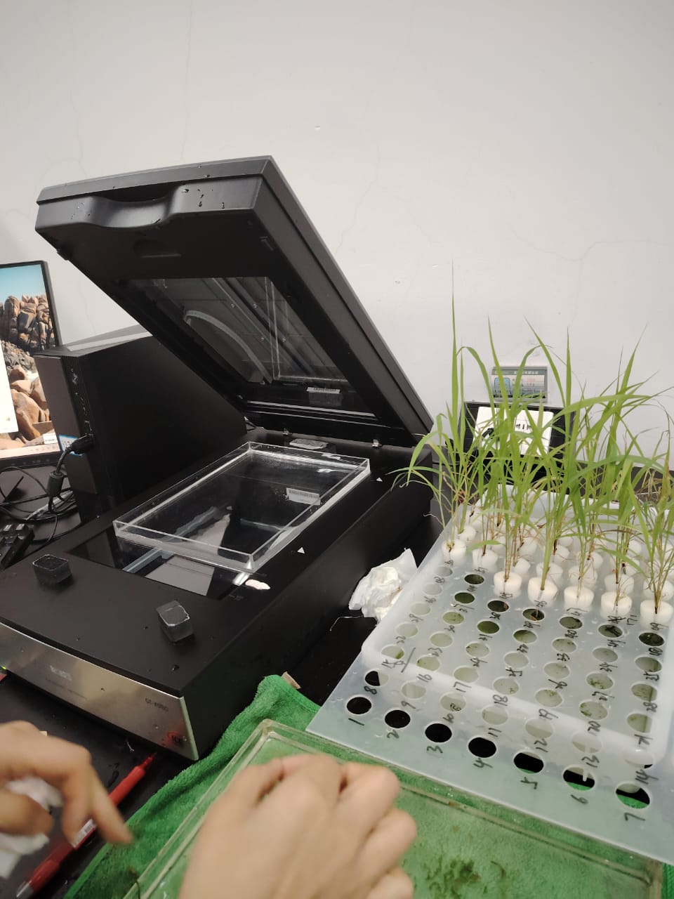 Шәкәрім университеті оқытушыларының Қытай еліндегі ғылыми тағылымдамасы – халықаралық ынтымақтастықтың жаңа белесі