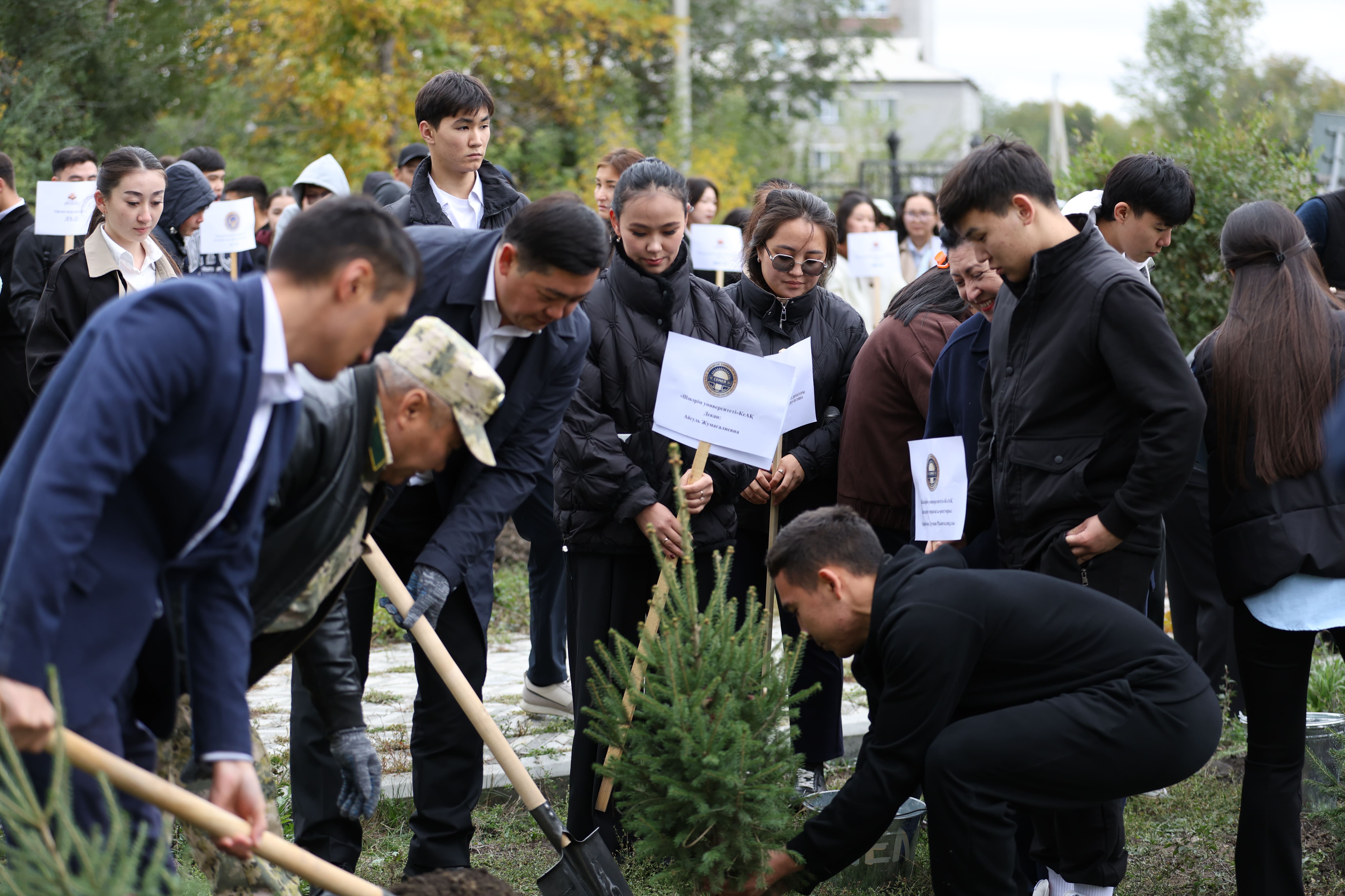 Дерево посадили в рамках акции «Таза Казахстан».