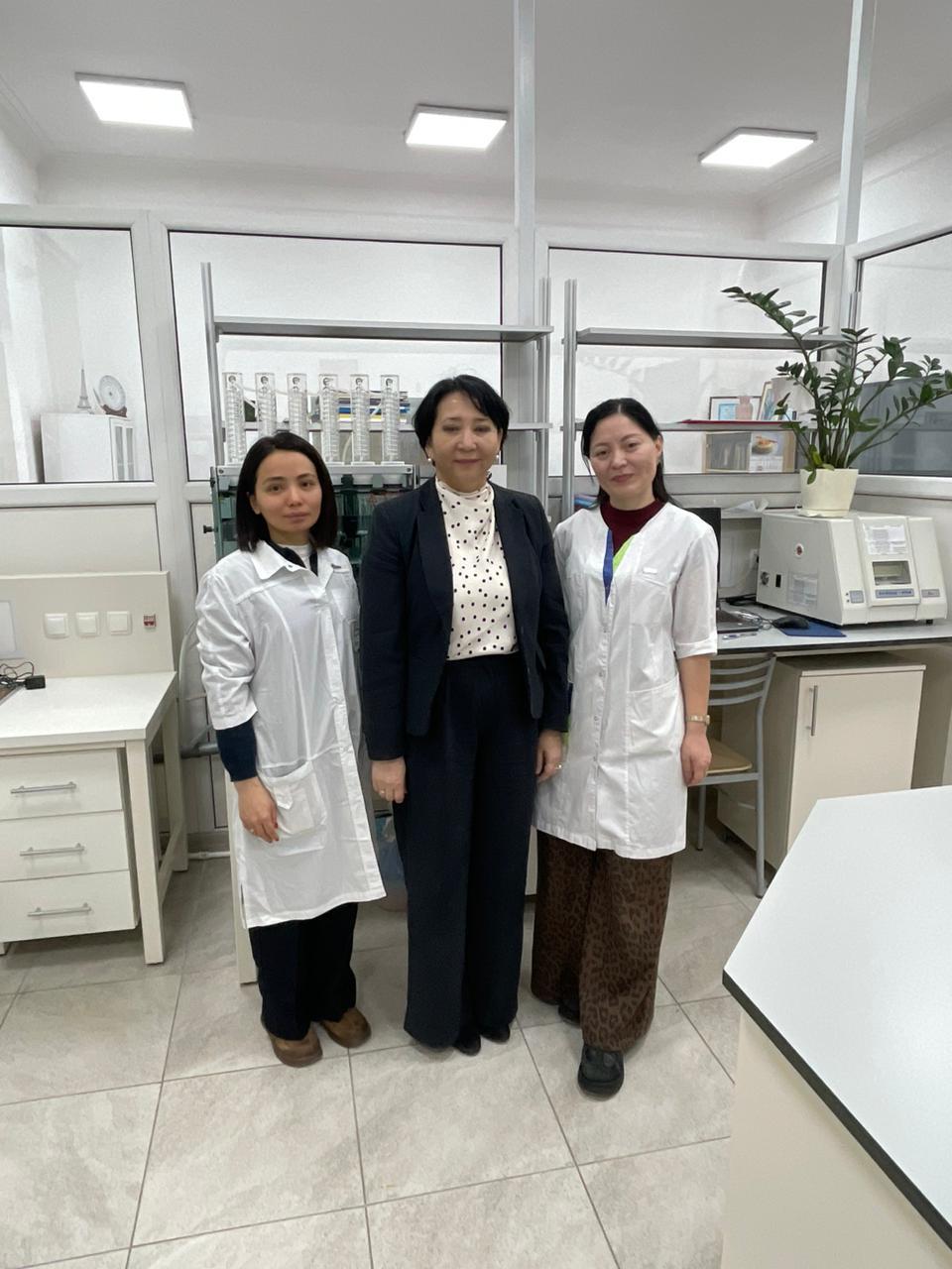 Научная стажировка – новые возможности профессионального развития