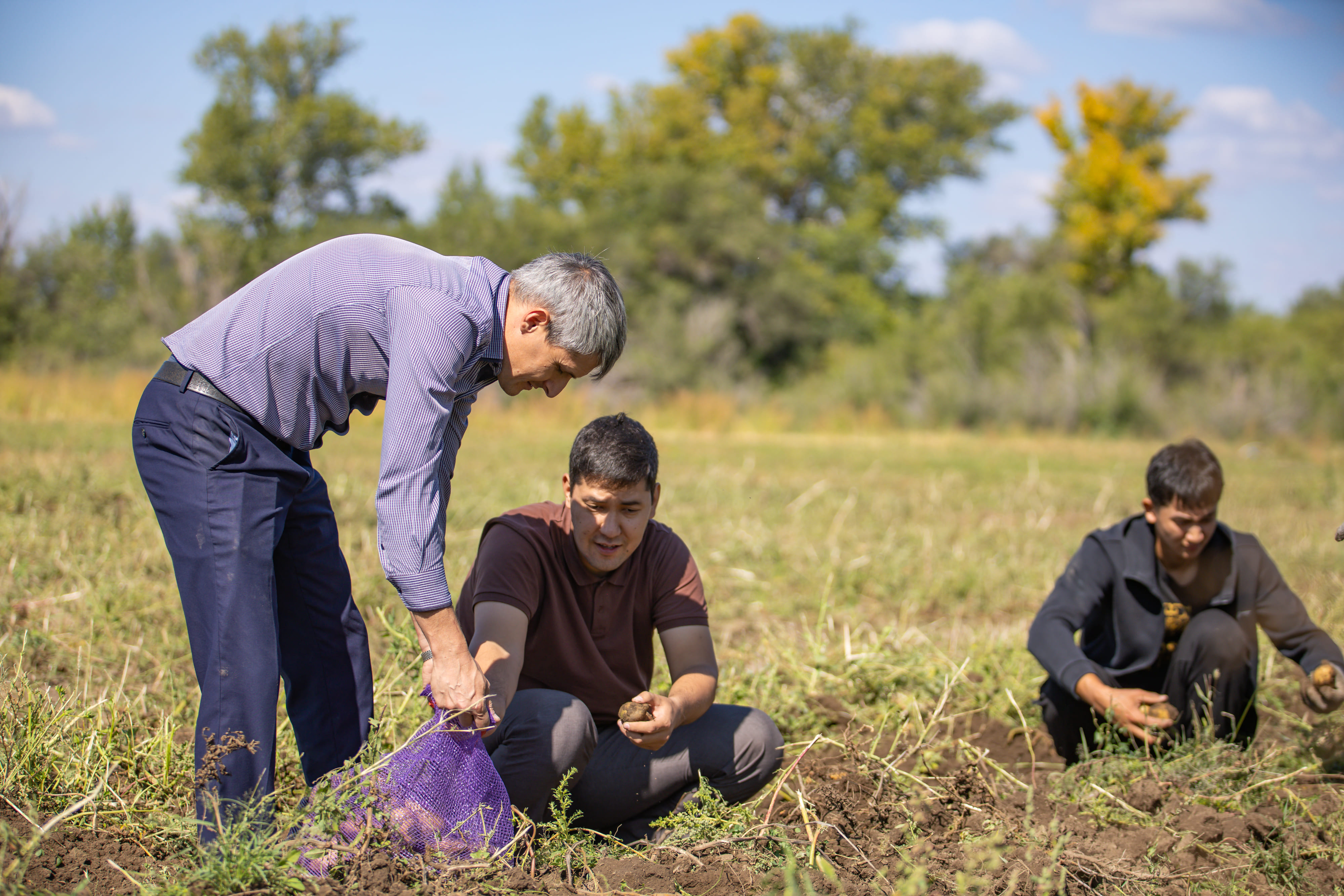 В Агробиолаборатории Shakarim University идет сбор урожая