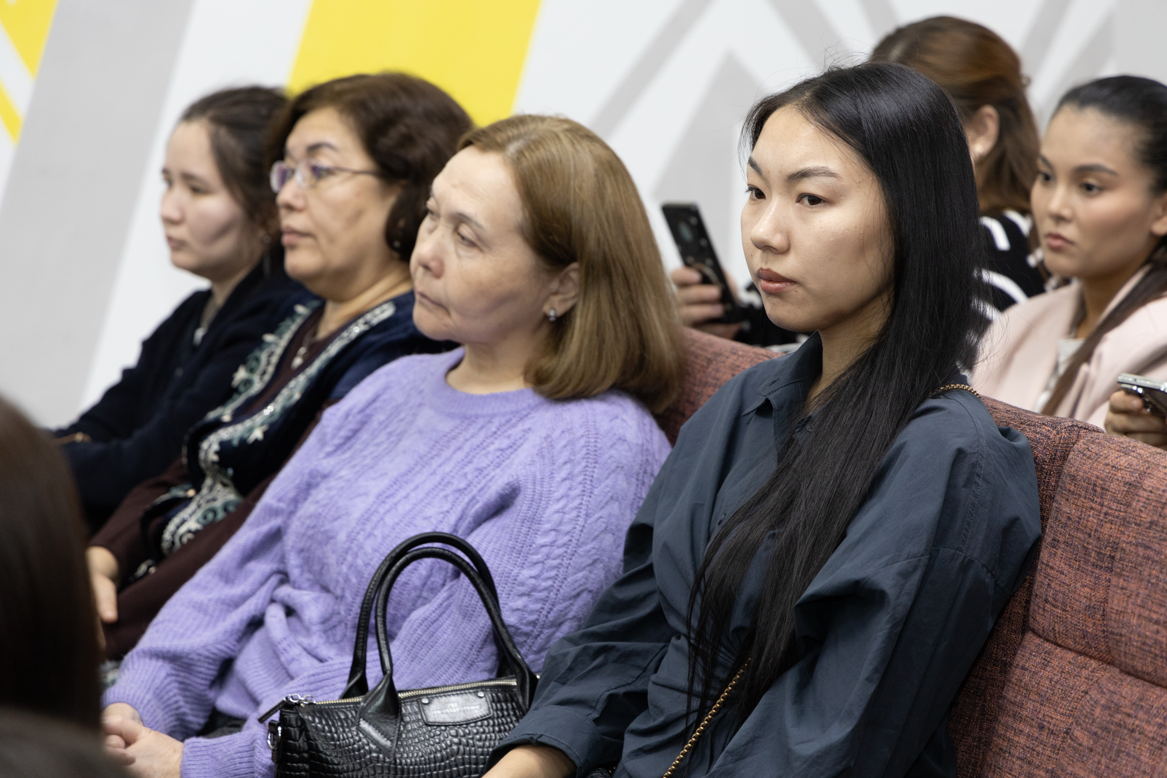 Конституциялық реформа: түсіндіру кездесуі 