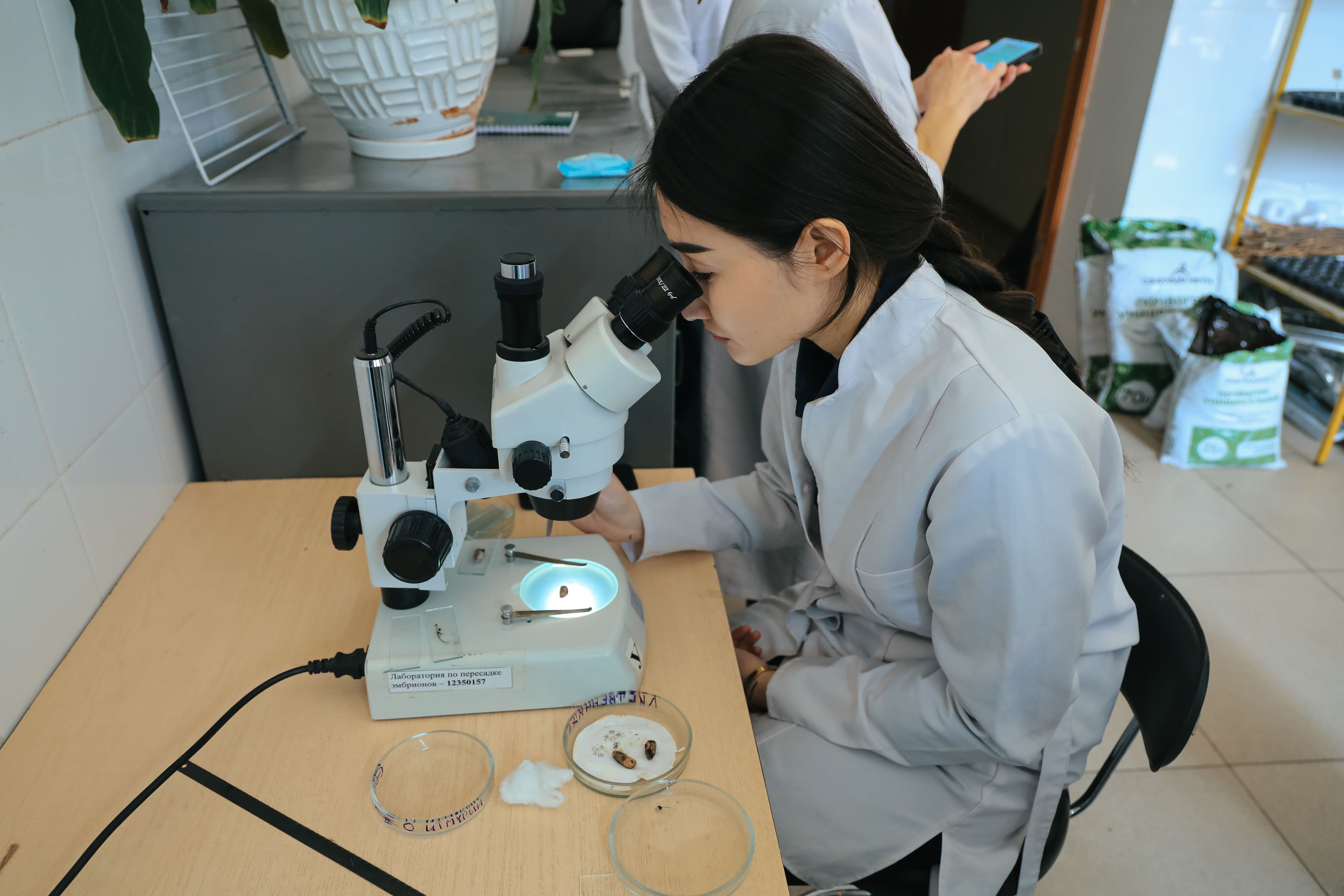 Жаңару күні – жаңғыру мен жаңа бастамалардың символы