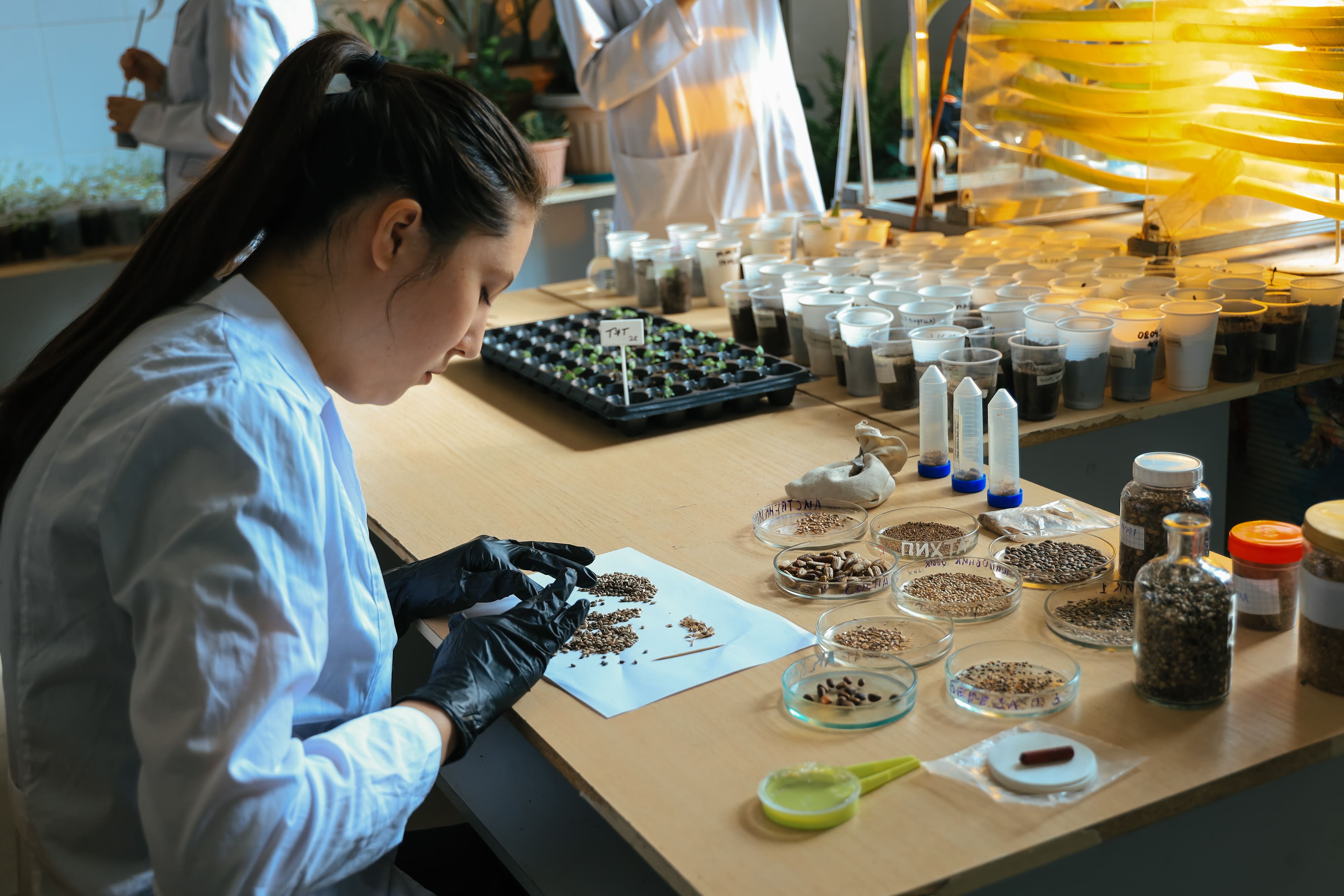 Жаңару күні – жаңғыру мен жаңа бастамалардың символы