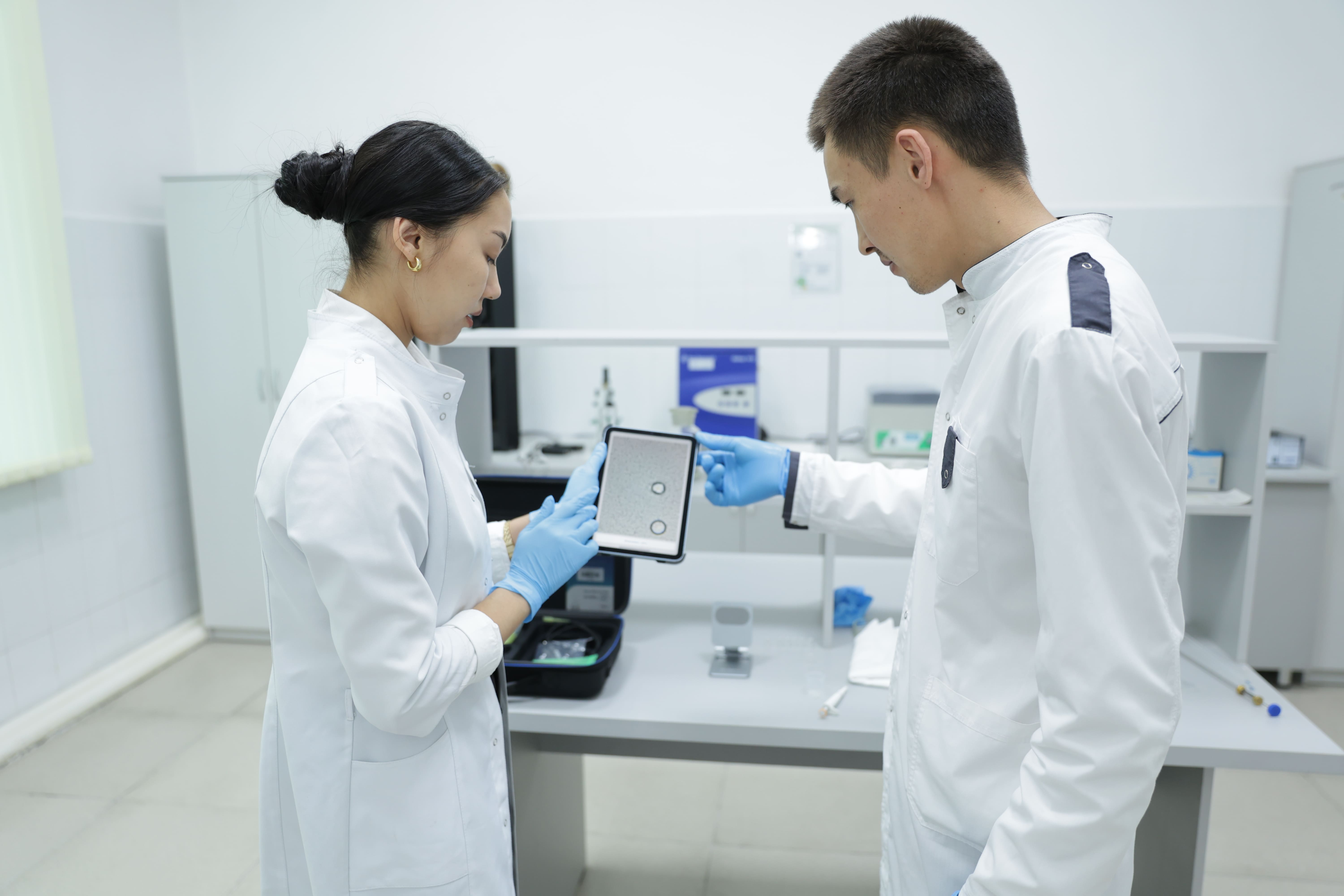 Қой шаруашылығын дамытуға жаңа қадам