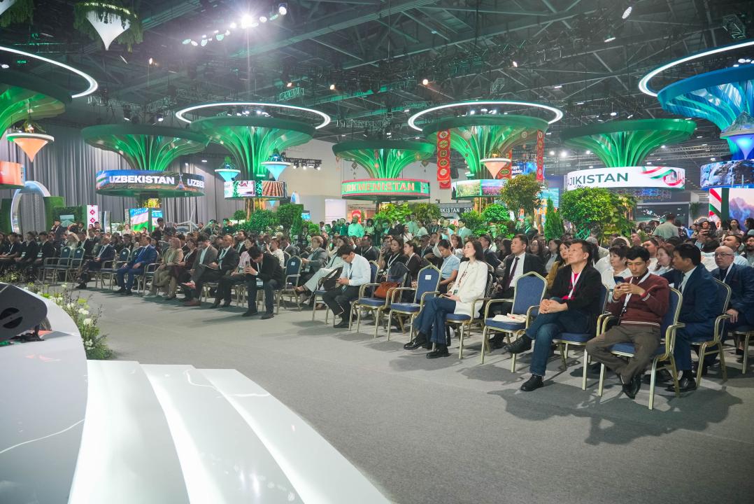 Шәкәрім университетінің «жасыл» жобалары – EXPO алаңында