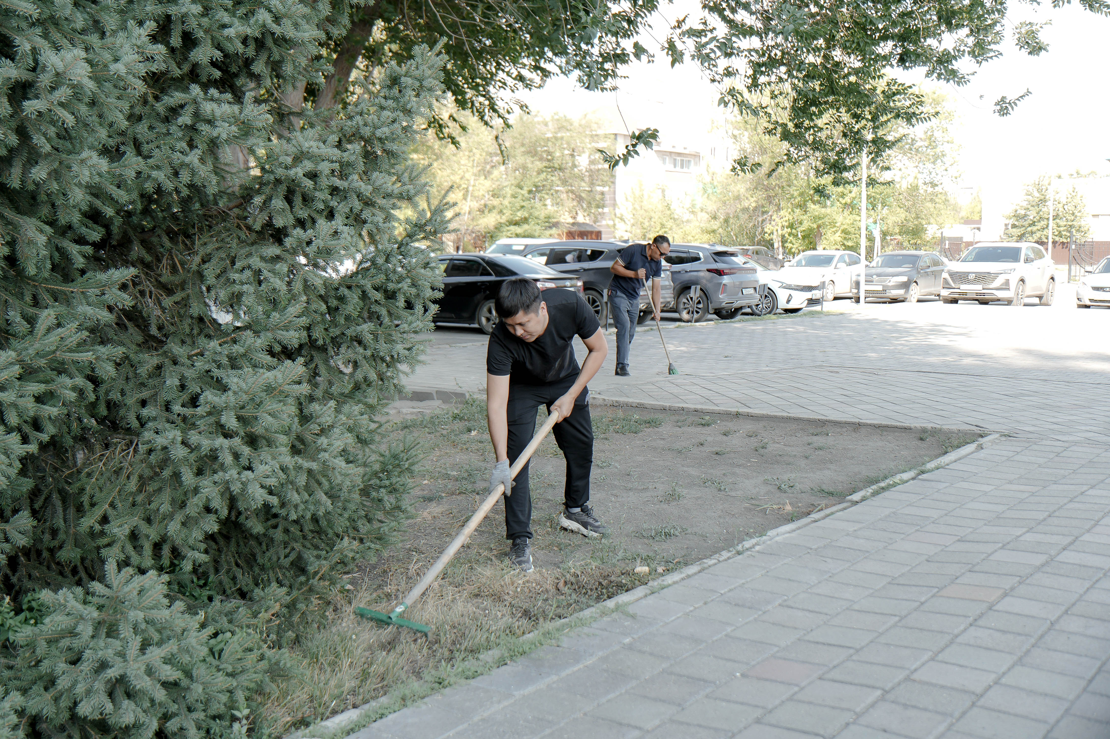 Абай рухына тағзым тазалықтан басталады