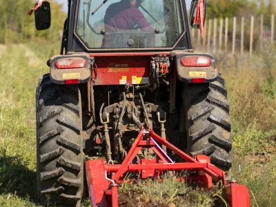 В Агробиолаборатории Shakarim University идет сбор урожая