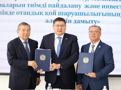 Преемственность науки и производства: совет по модернизации овцеводства