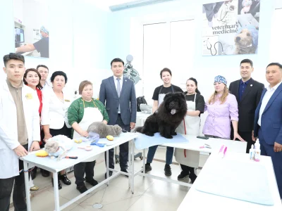 SHAKARIM UNIVERSITY. ГДЕ НАУКА ВСТРЕЧАЕТ ЗАБОТУ: НОВЫЙ ГРУМИНГ-САЛОН 