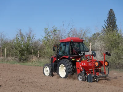 УЧЁНЫЕ ЭКСПЕРИМЕНТИРУЮТ НОВУЮ ТЕХНОЛОГИЮ ПОВЫШЕНИЯ УРОЖАЙНОСТИ  КАРТОФЕЛЯ