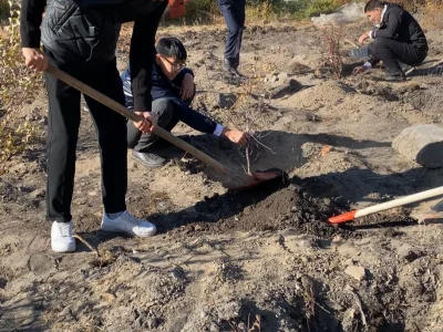 КОЛЛЕДЖ ШАКАРИМА ПОСАДИЛИ ДЕРЕВЬЯ