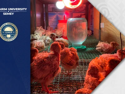 СРАЗУ НЕСКОЛЬКО СТАРТАП ПРОЕКТОВ ЗАПУСТИЛИ В УНИВЕРСИТЕТЕ ШАКАРИМА